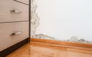 Mildew Resistant Paint In The Bahamas
