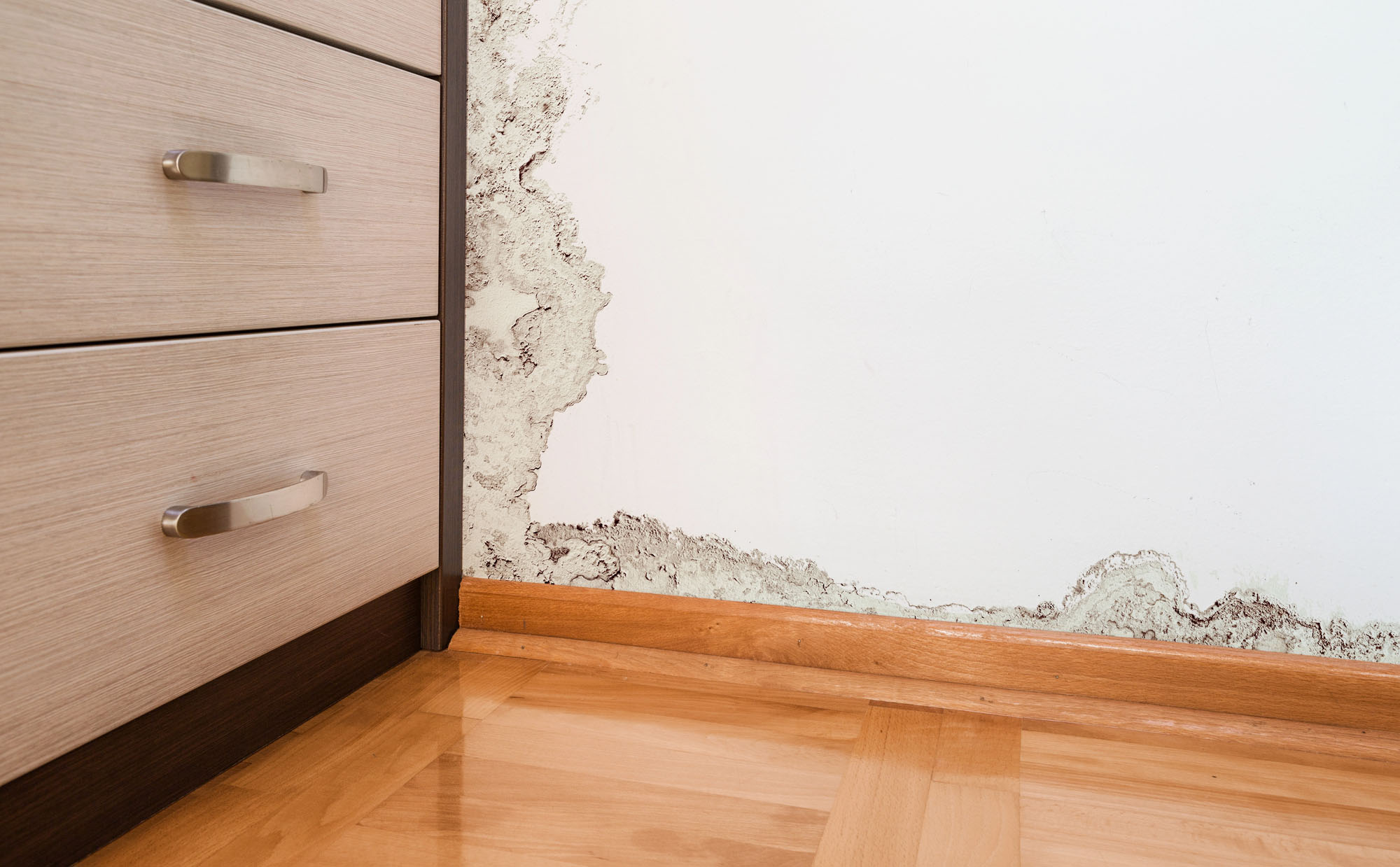Mildew Resistant Paint In The Bahamas